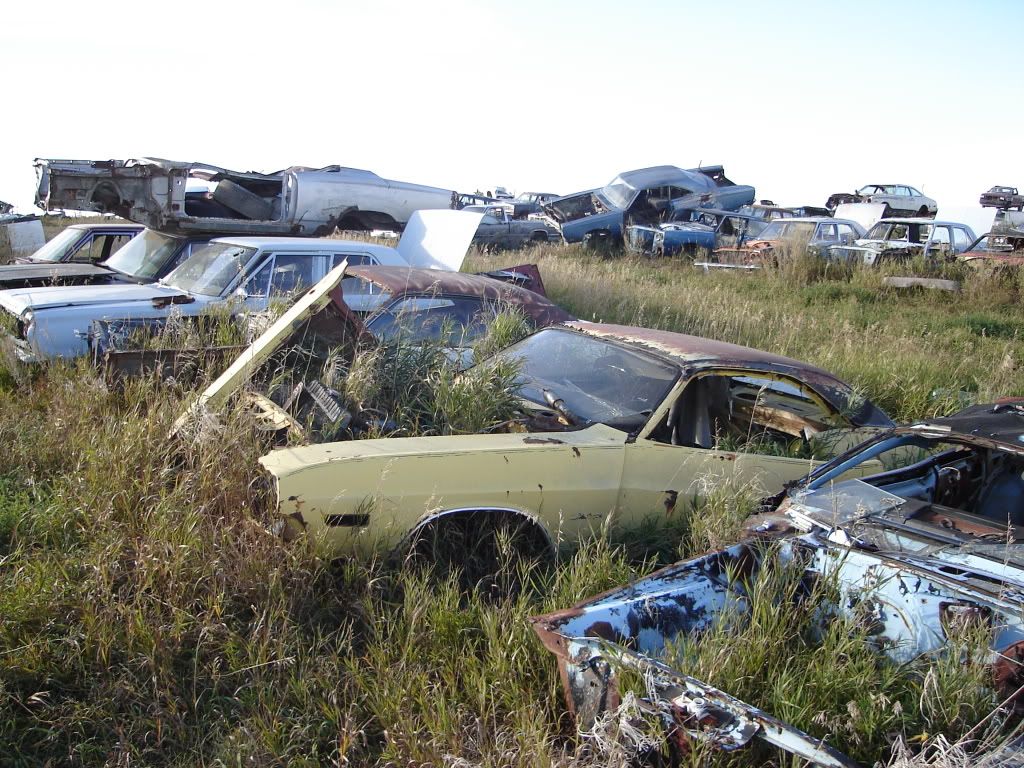 Alberta Auto Wrecker pics For A Bodies Only Mopar Forum